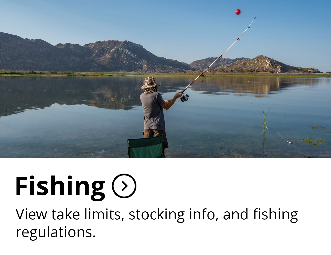Fishing Button 